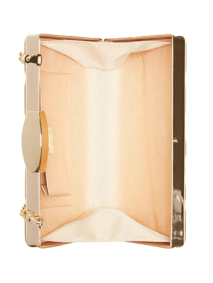 Marciano Handbags Women Emma Lucite Clutch Whitegold