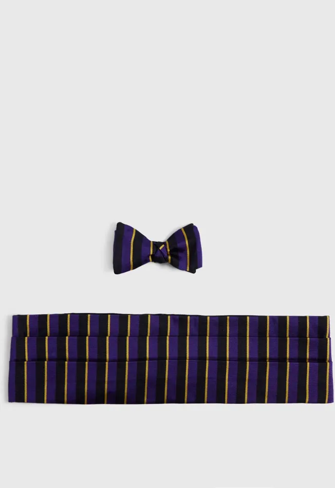 Men Bow Tie and Cummerbund Set Purpleyellow Paul Stuart Ties and Pocket Squares
