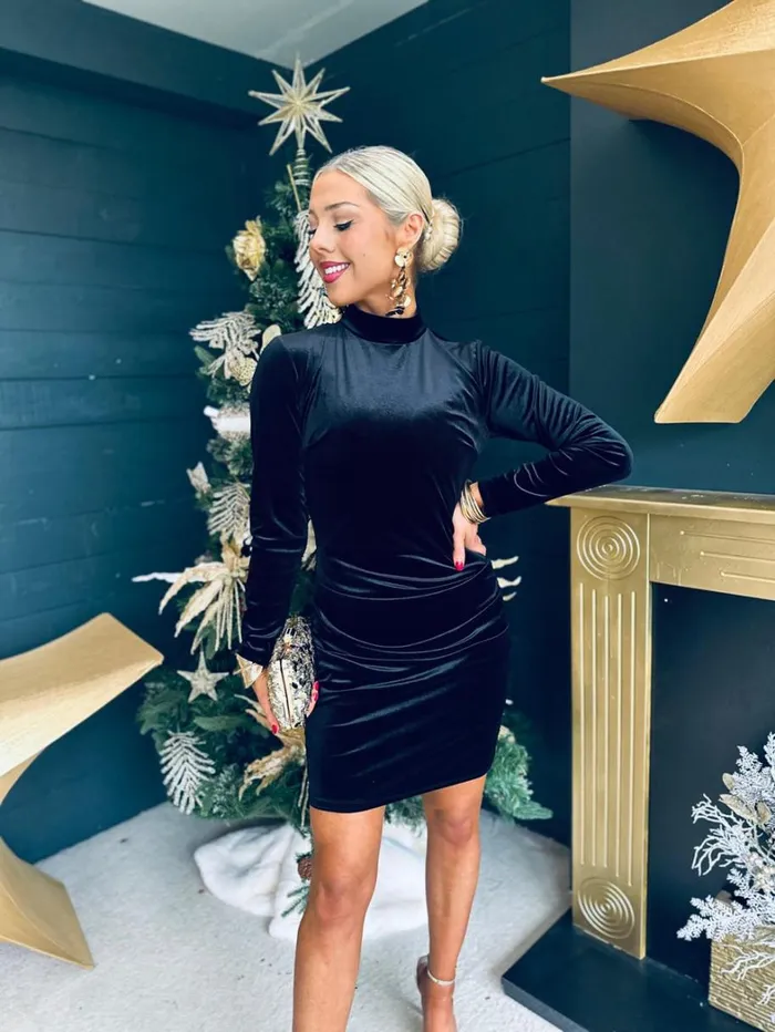 Ruth High Neck Velvet Mini Dress Black Womens Canella Lane Mini