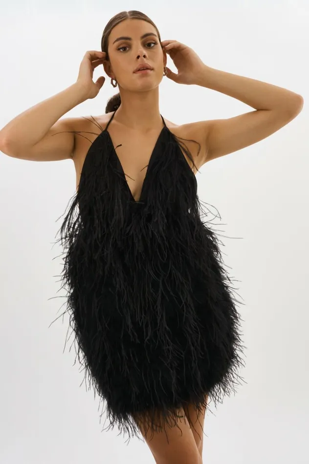 Solveig Feather Dress Black Women Lamarque DRESSES