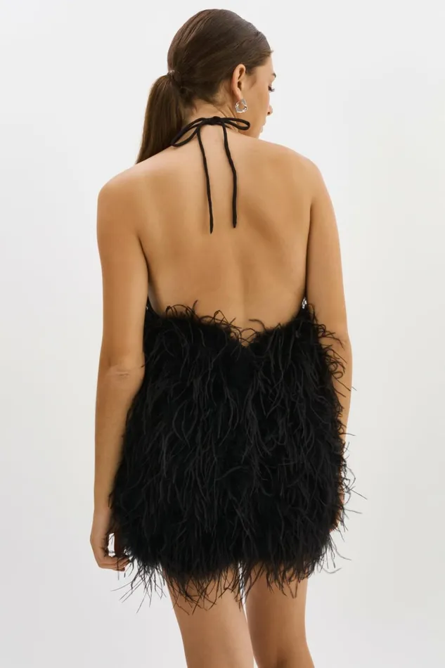 Solveig Feather Dress Black Women Lamarque DRESSES